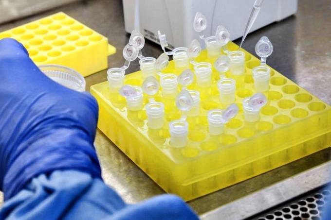 Bancos vão doar 5 milhões de testes rápidos para coronavírus