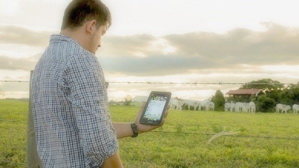 Custo de produção é a maior preocupação do pecuarista brasileiro