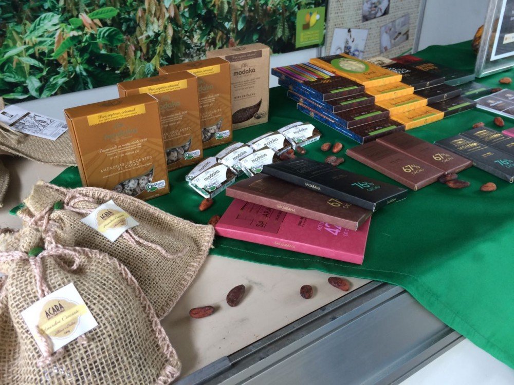 Governo apresenta parque para desenvolvimento do cacau e chocolate no sul da Bahia