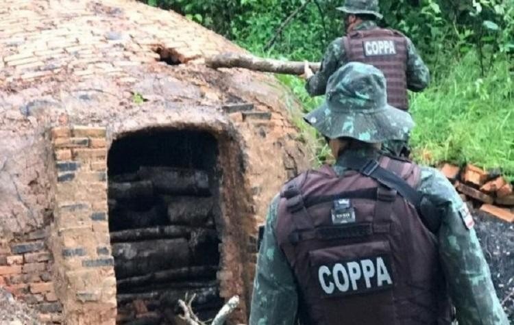 Polícia desarticula carvoaria e serraria ilegais em Pojuca