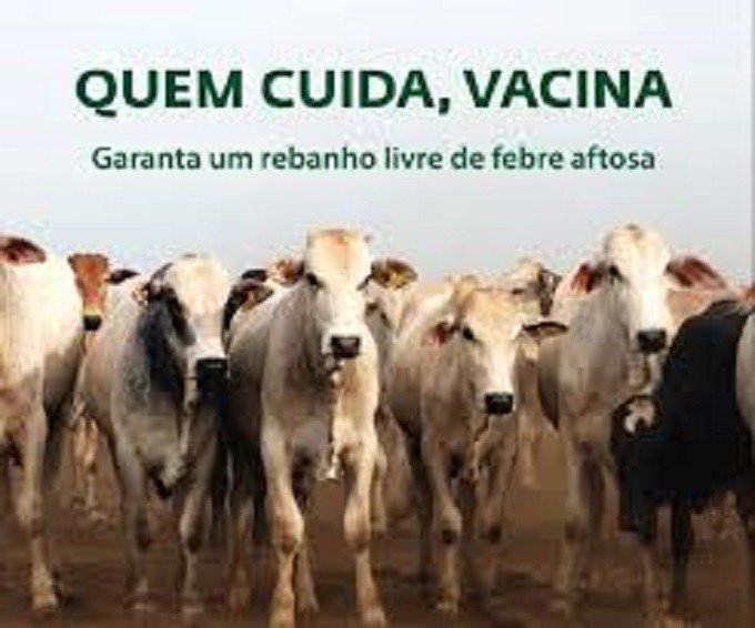 Tudo pronto para vacinação contra Aftosa a partir dessa sexta-feira