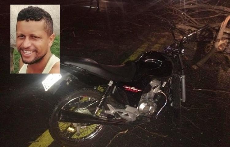 Motociclista morre após colidir com uma vaca em rodovia