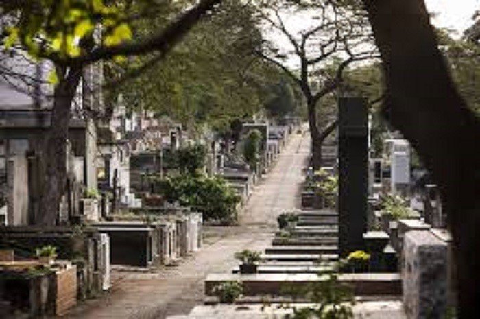 Ultrapassada a marca de 11.100 mortes por Covid-19 no Brasil