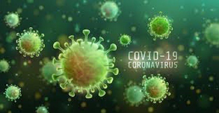 Pacientes curados de Covid-19 podem transmitir o vírus