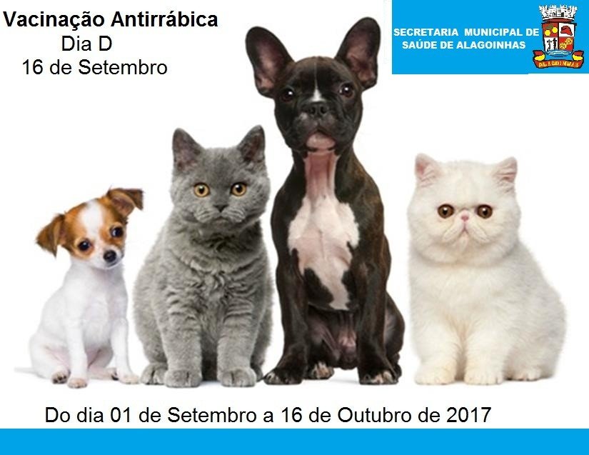 SESAU promove Dia D de vacinação antirrábica no próximo sábado (16)