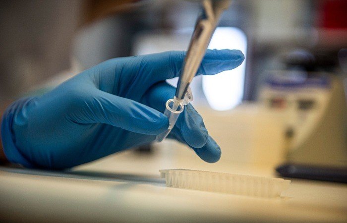 Possibilidade de vacina para grupos prioritários no Brasil