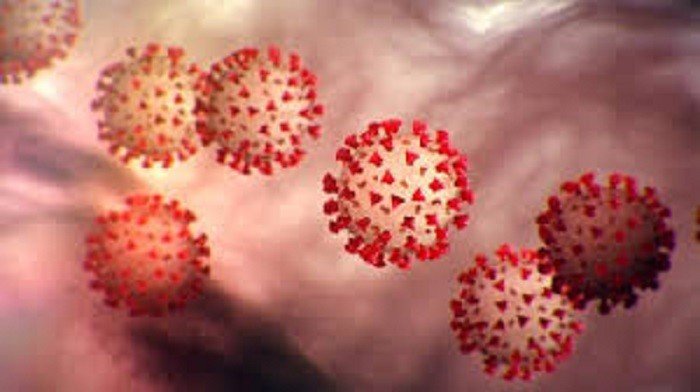 Pandemia de Covid-19. Estados Unidos, Brasil e Índia são os países mais afetados