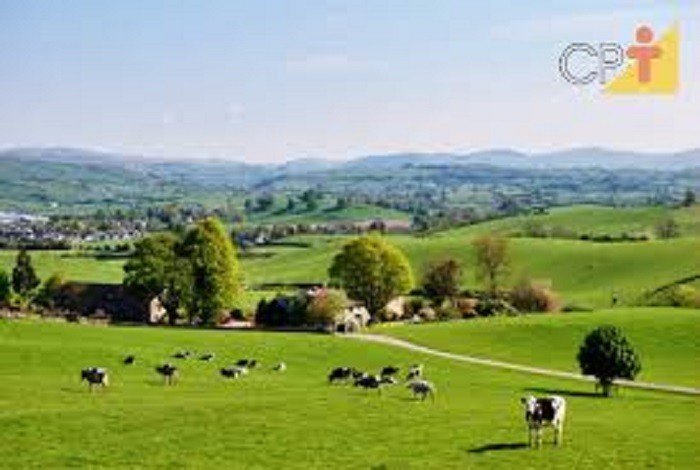 Famílias optam por zona rural durante pandemia