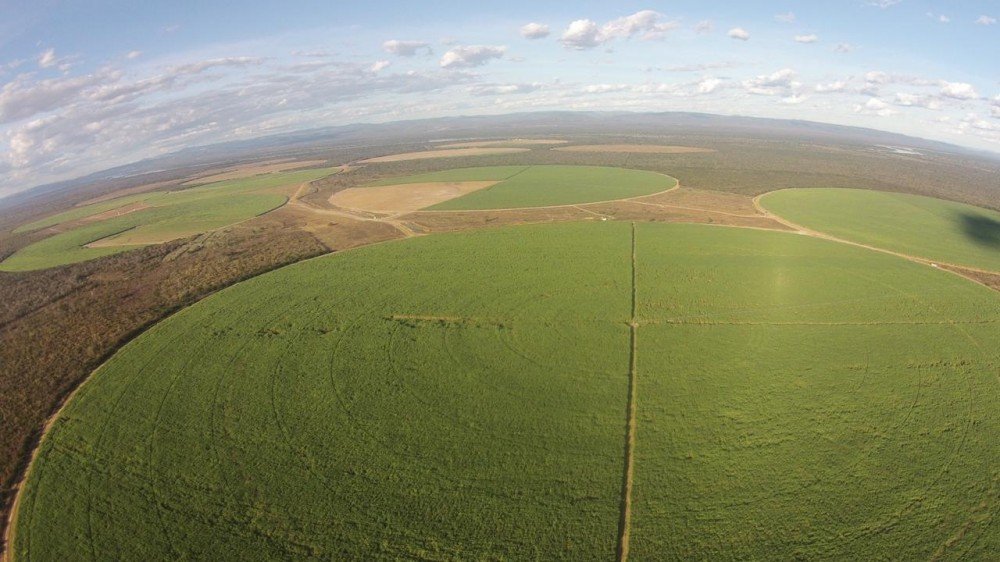 Governo do Estado, MDR e Faeb visitam Polo Agroindustrial e Bioenergético no Médio São Francisco