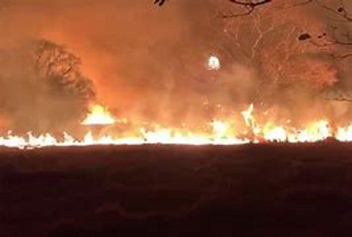 Devastação e queimadas na maior floresta tropical do mundo e no Pantanal