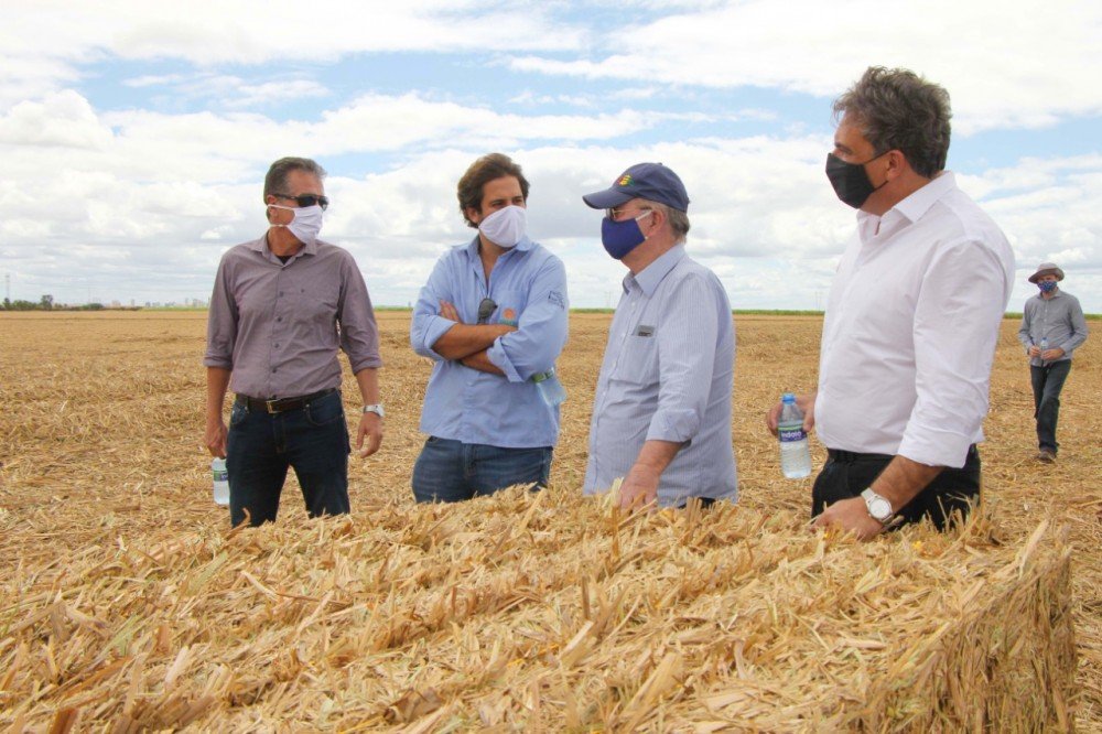 Com 17,7 mil hectares cultivados, Agrovale é inspiração para Polo Agroindustrialdo SãoFrancisco