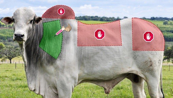 COMO DIMINUIR PROBLEMAS DE ABSCESSO VACINAL