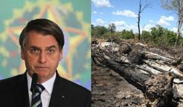 Seis juristas acusam Bolsonaro de crimes contra a humanidade e o meio ambiente