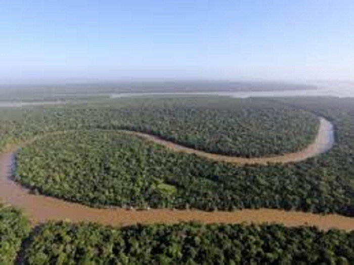 Defesa gasta R$ 145 milhões em satélites para monitorar Amazônia