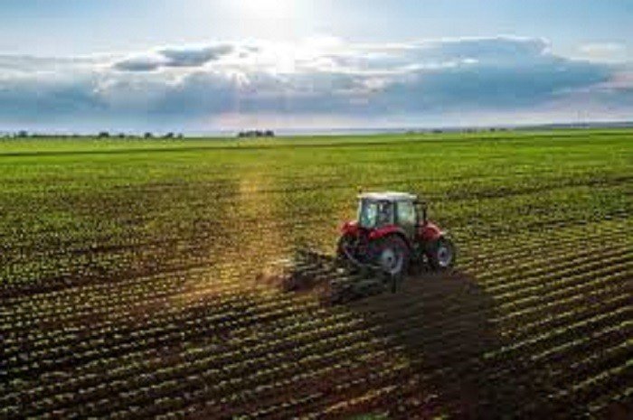 O único indicador do PIB que não caiu foi a agropecuária