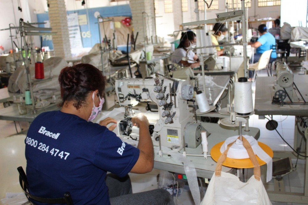 Bahia: Setor Florestal gera 230 mil empregos