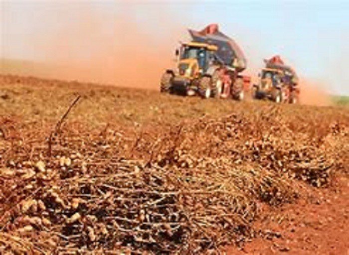 Produto brasileiro é “esquecido” pelas medidas governamentais