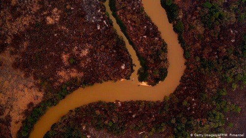 Desastre ambiental: Fogo continua avançando no Pantanal