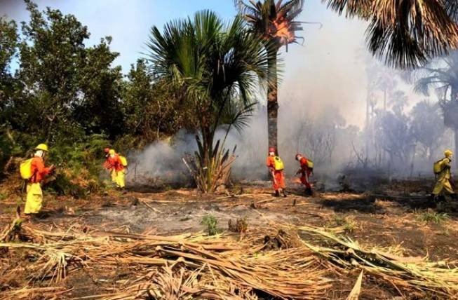 Dois aviões são enviados para reforçar ação de combate a incêndio no oeste da Bahia