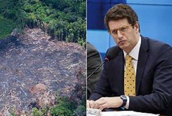 Salles quer passar boiada e acabar com leis de proteção ambiental no Brasil