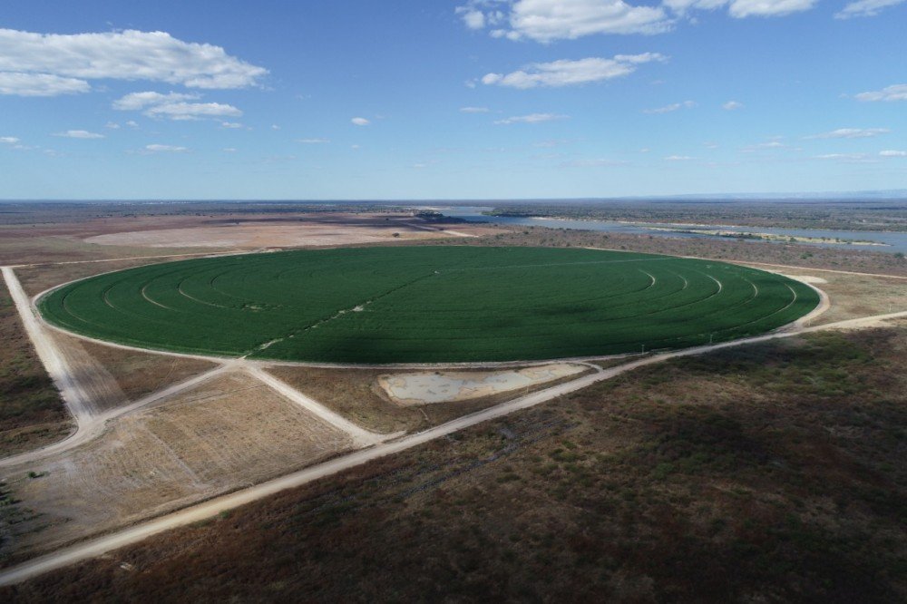 Executivos do BNB e Sudene apontam potencial do Polo Agroindustrial do Médio São Francisco