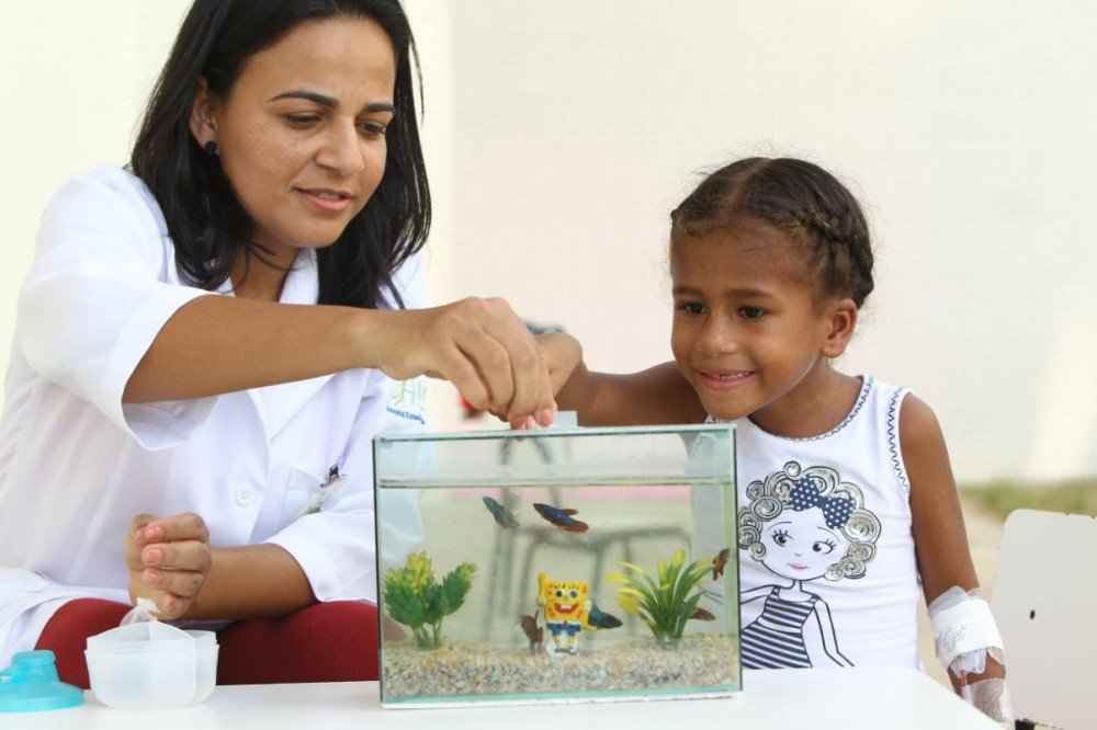 Tratamento com auxílio de animais é implantado no Hospital da Criança
