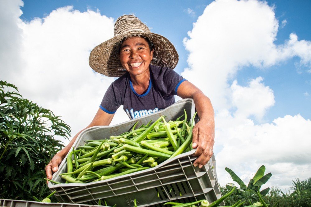 Bahia Produtiva investe na agricultura familiar e muda a vida da mulher e do homem do campo