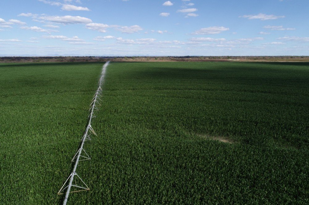 Produtores de SP e PE devem investir no Polo Agroindustrial do Médio São Francisco