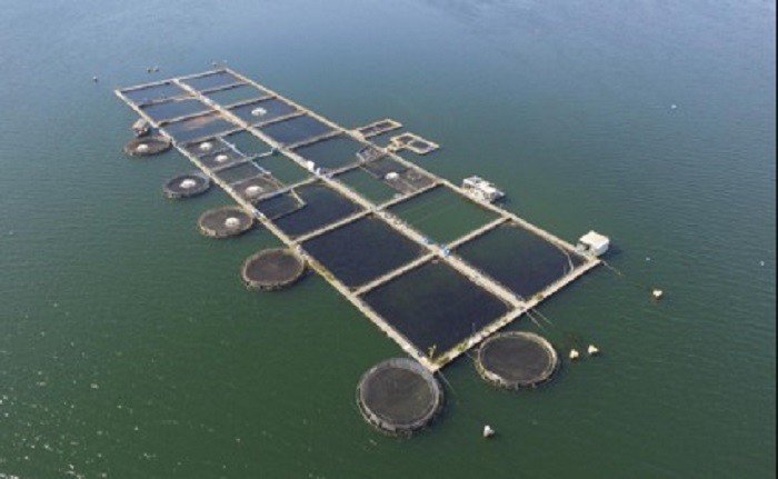 Paulo Afonso vai ganhar unidade industrial para beneficiamento de pescados