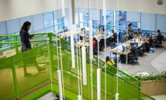 Startups brasileiras podem ter melhor desempenho da história em 2020
