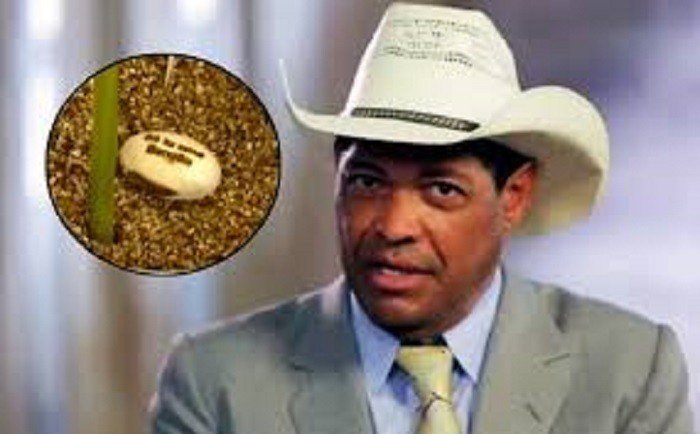 Justiça obriga Ministério da Saúde a publicar alerta sobre falsa cura da Covid-19 anunciada por pastor