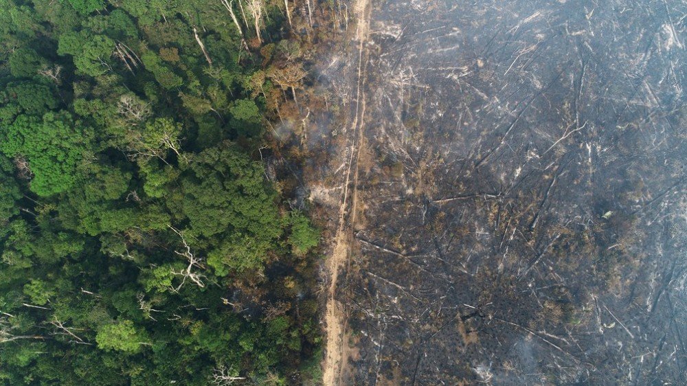 Alertas de desmatamento na Amazônia em outubro são os mais altos para o mês na série histórica