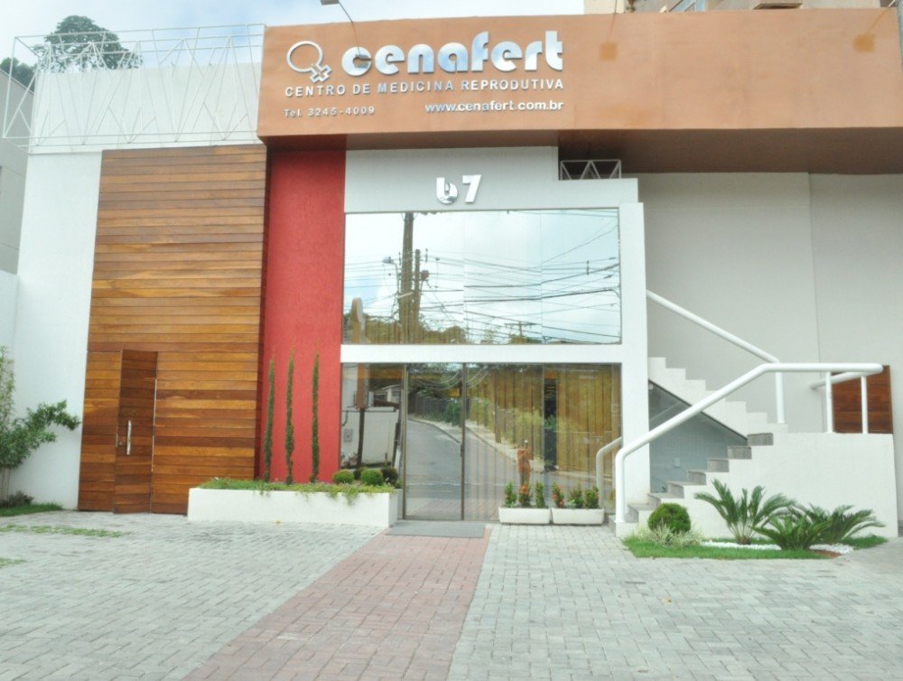 Estudo genético do embrião traz avanços para a reprodução assistida