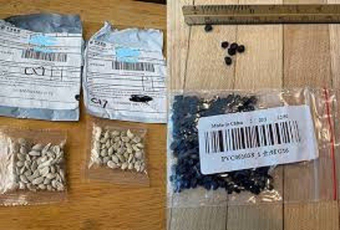 Ministério da Agricultura alerta para não abrir pacotes de sementes não solicitadas