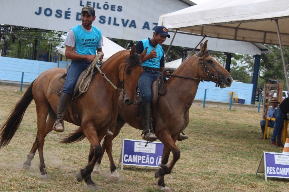 Concursos de equinos e bovinos movimentam a 20ª Expo Alagoinhas