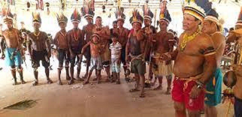 Justiça suspende efeitos de norma da Funai que liberou grilagem em terras indígenas na região de Tucuruí (PA)