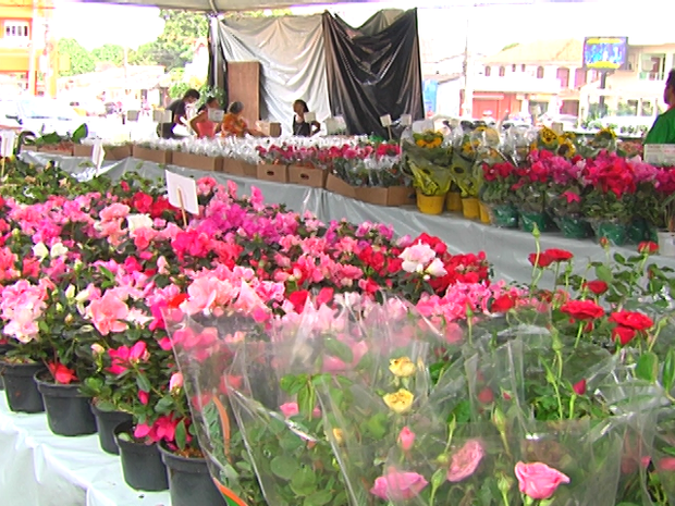 4º Festival de Flores Holambra