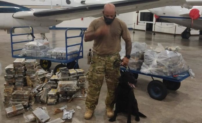 Cães da Polícia Civil encontram meia tonelada de cocaína em avião