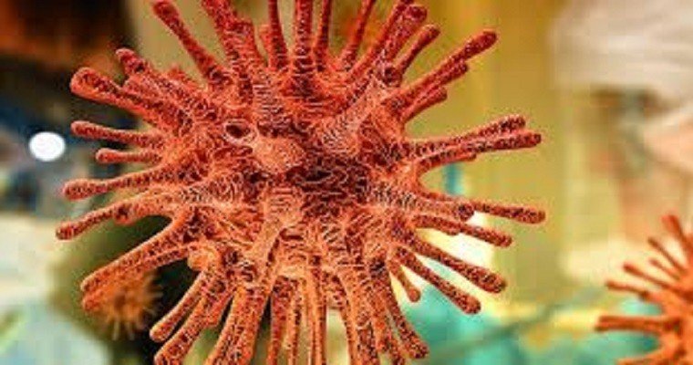 Festas clandestinas, variante de Manaus em SP e mais de 15 de fevereiro